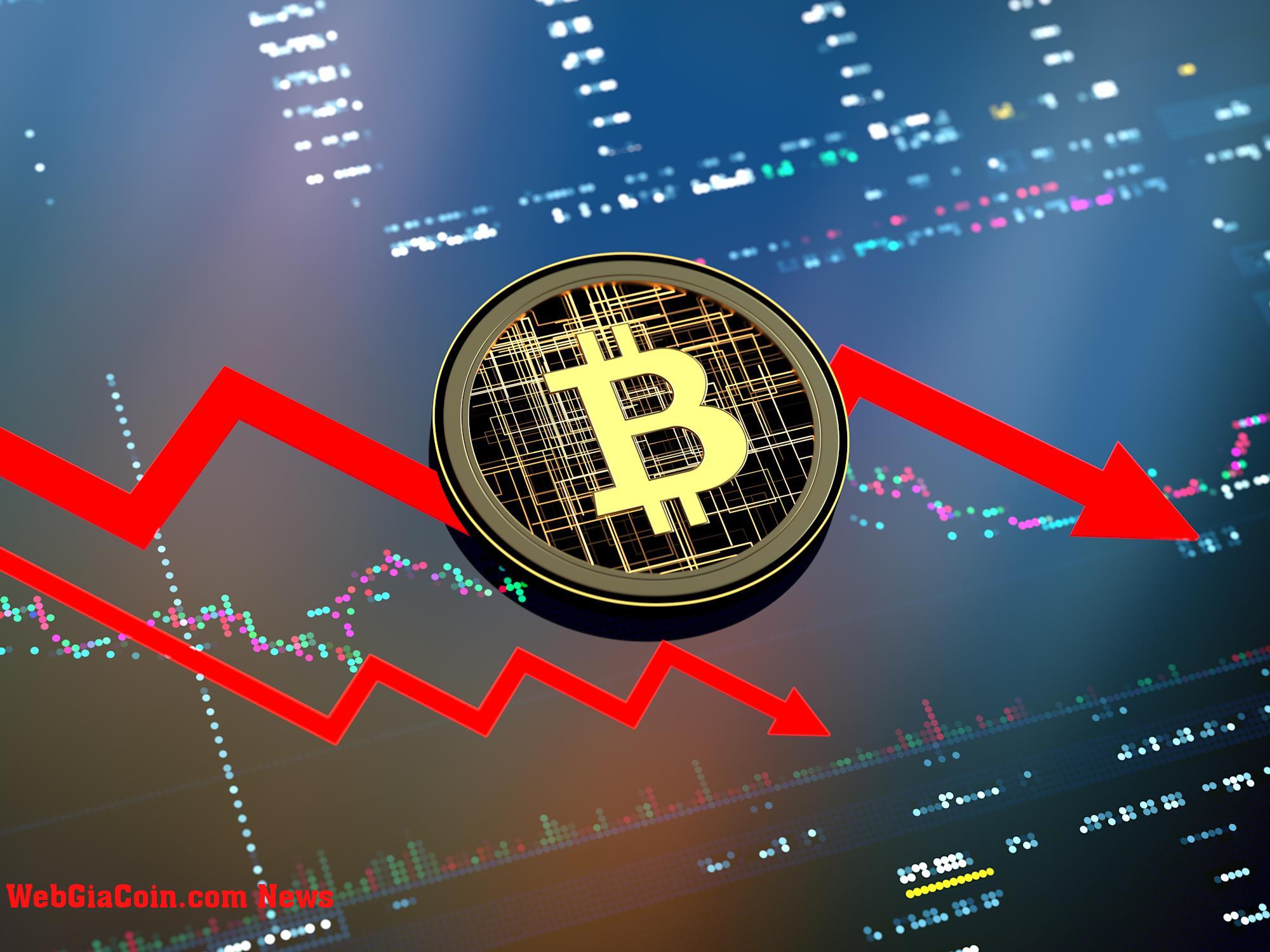 Máu trên đường phố Thị trường trở nên hoảng loạn khi Bitcoin lao dốc