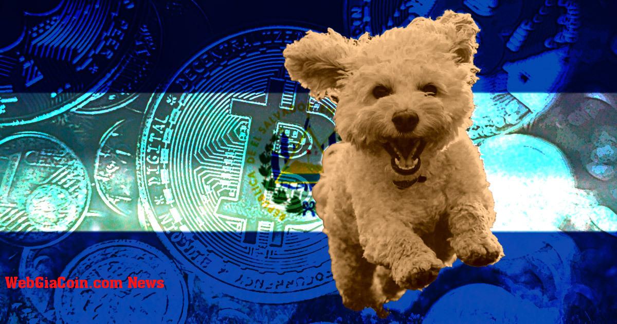 Hãy xem bên trong Bệnh viện Chivo Pets do Bitcoin tài trợ, nơi chi phí điều trị là 0,25 đô la