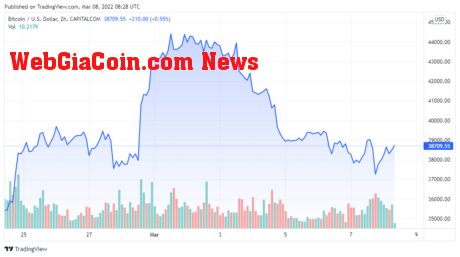 BTCUSD price chart for 03/08/2022 - TradingView