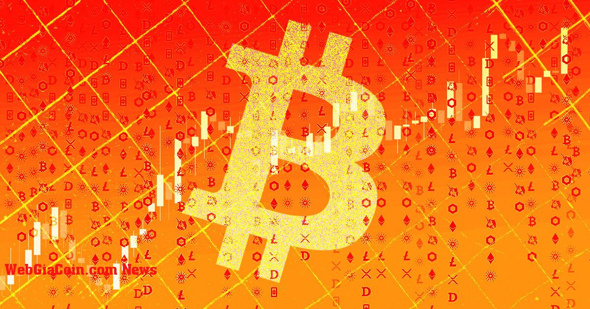Bitcoin thống trị về giá, tăng nhanh lên 44% khi giá leo trở lại trên 42.000 đô la
