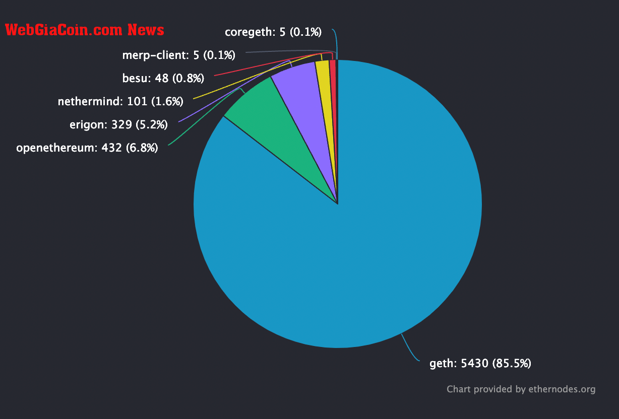 Chart showing diversity of the execution clients