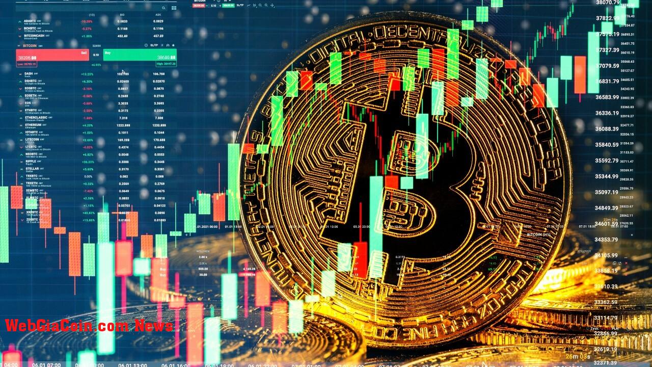 Rút tiền từ nền tảng giao dịch bitcoin cho thấy Cá voi đang tích lũy