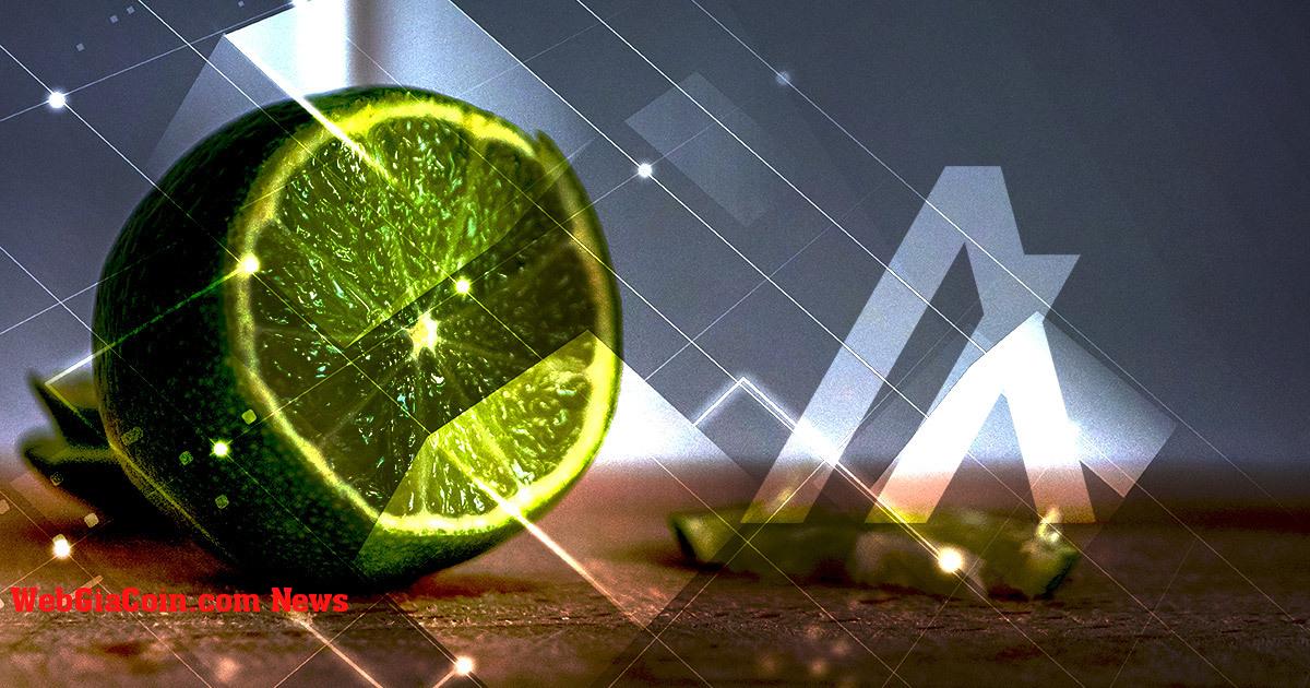 Limewire-transfer ra mắt thị trường NFT mới trên Algorand Blockchain