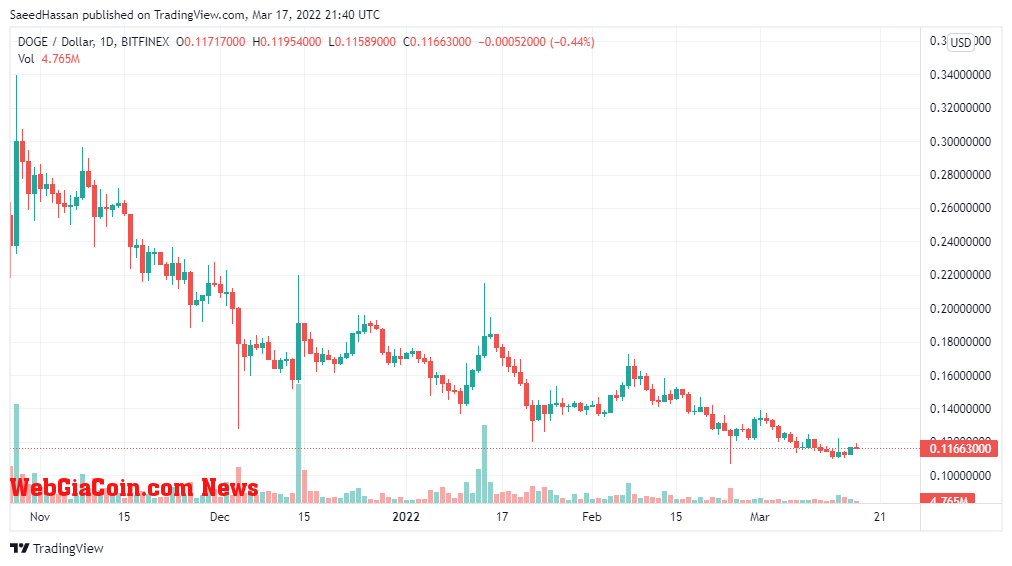 DOGE Chart