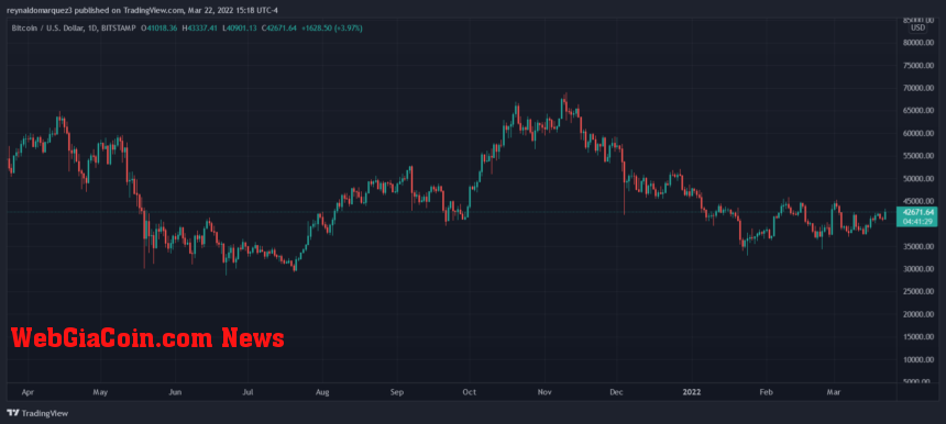 Bitcoin BTC BTCUSD