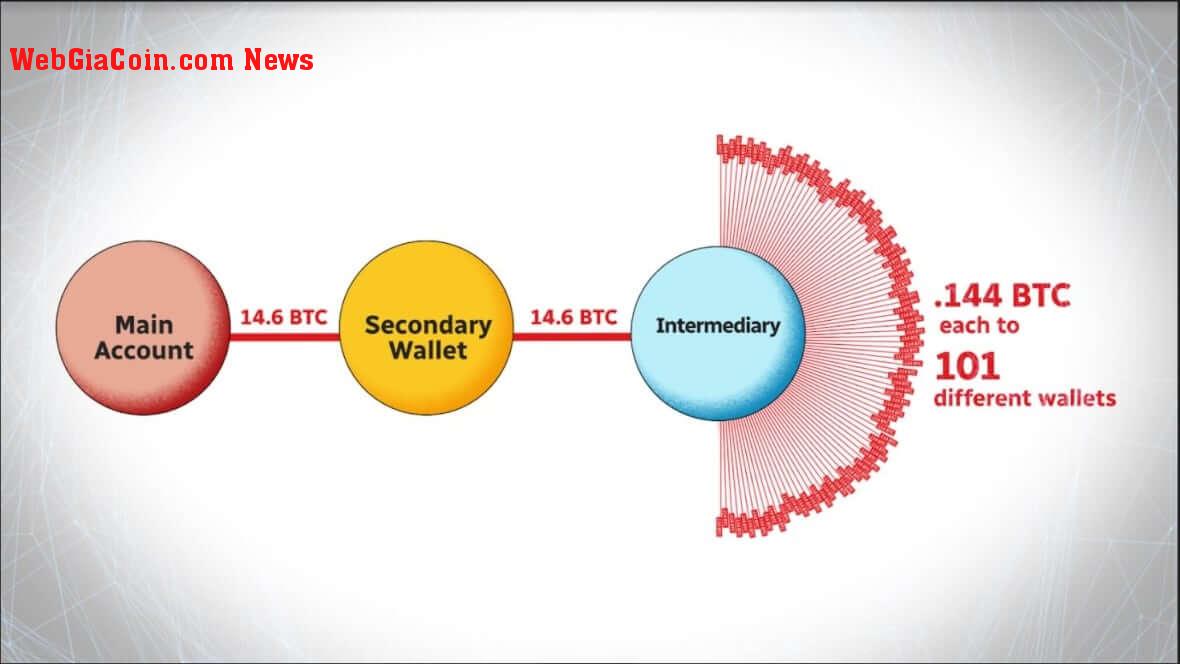 example of freedom convoy money movements