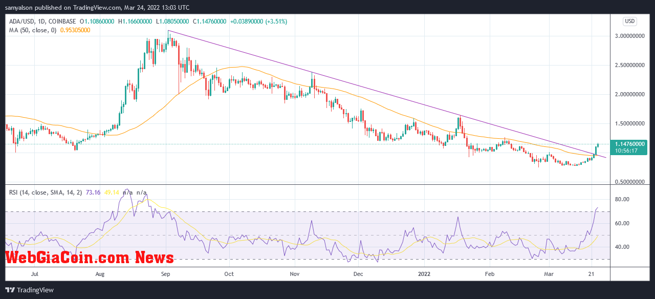 Cardano daily chart