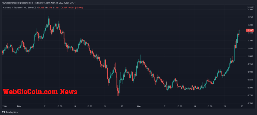 Cardano ADA ADAUSDT