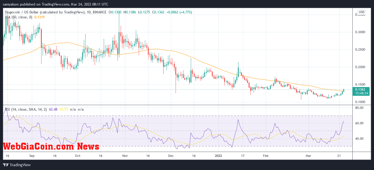 Dogecoin daily chart