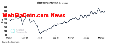 bitcoin hash rate