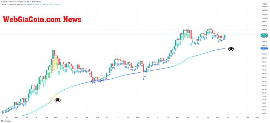 Bitcoin 200-week moving average heatmap TradingView