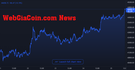 Bitcoin Price Chart