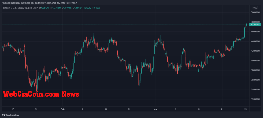 Bitcoin BTC BTCUSD