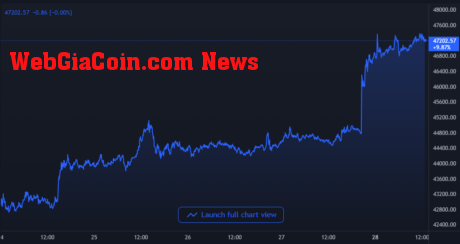 Bitcoin Price Chart