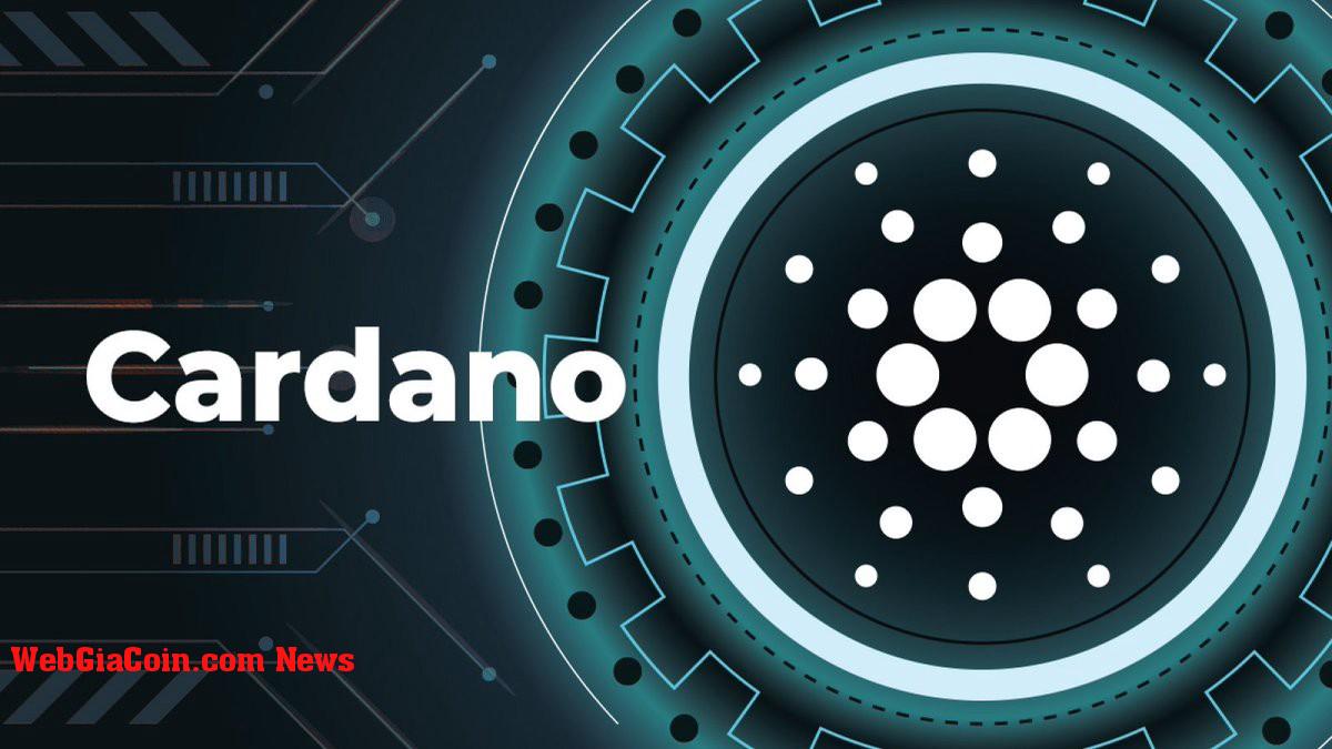 Cardano tăng giá trong ngắn hạn, nhưng đó có phải là tất cả?