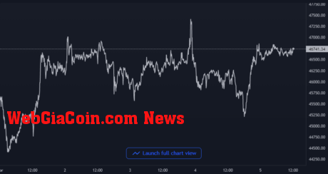 Bitcoin Price Chart