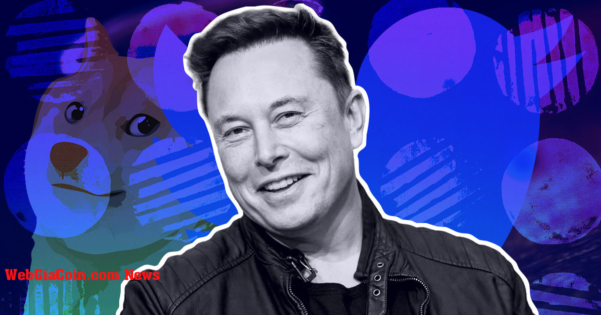 Musk mua 2,9 tỷ đô la cổ phần trên Twitter, điều này có ý nghĩa gì đối với Dogecoin?