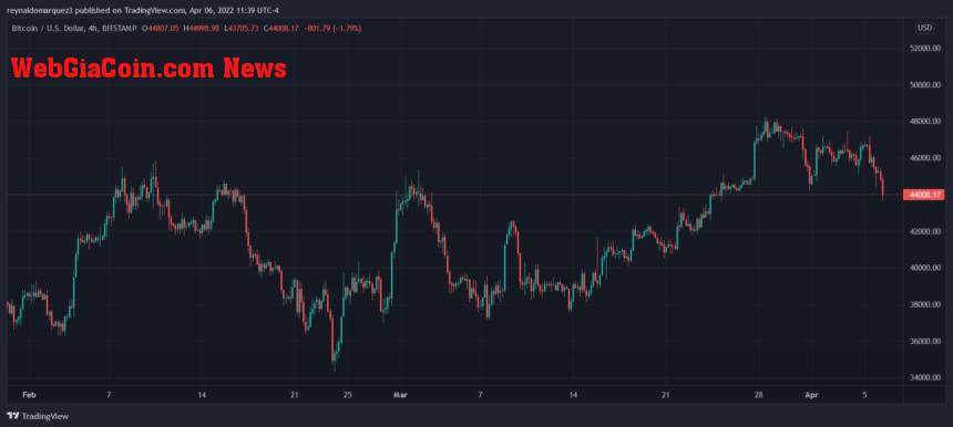 Bitcoin BTC BTCUSD