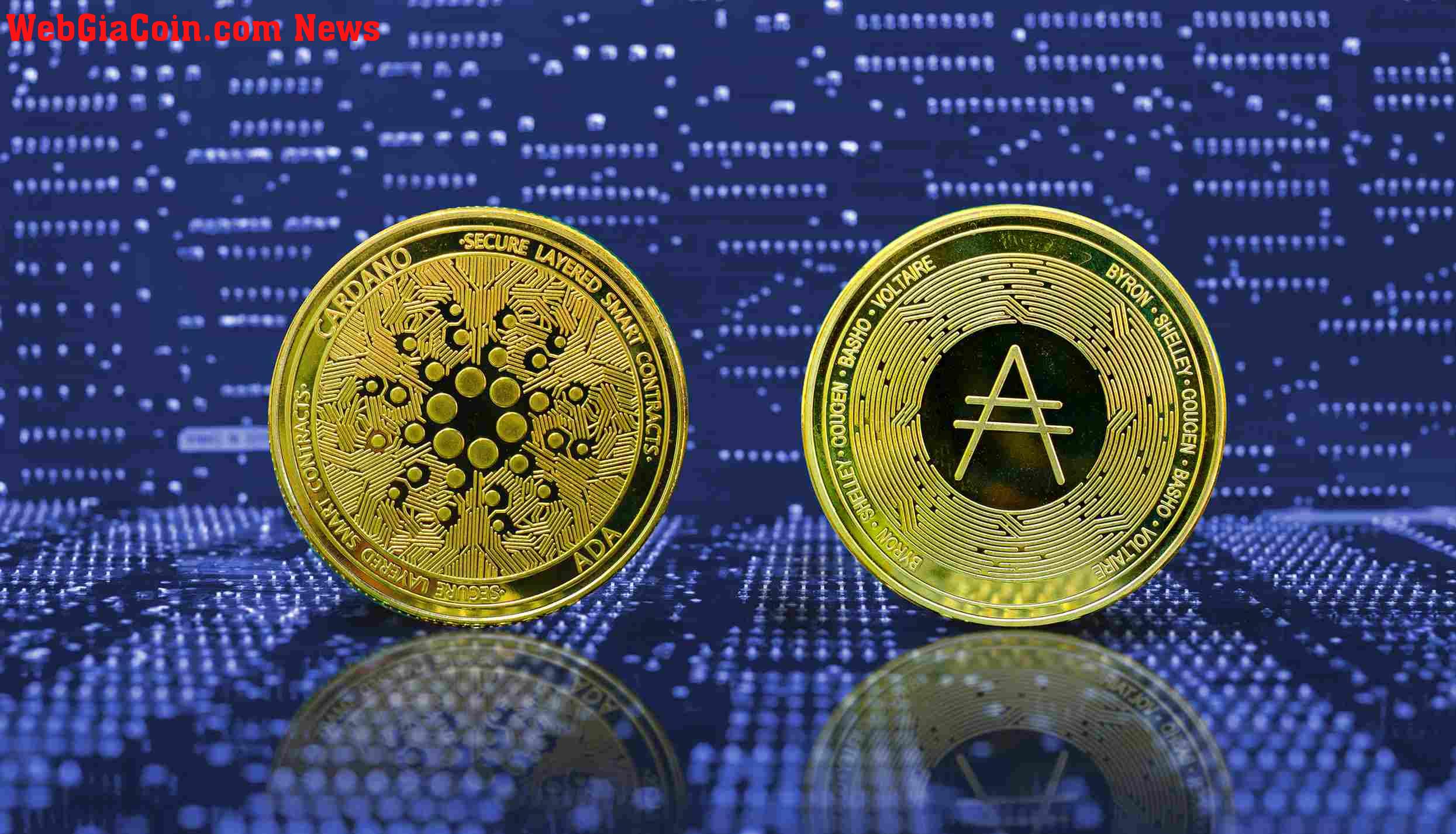 Các công ty giữ Mainity of Cardano (ADA) bị thua lỗ khi giá giảm xuống 1 đô la