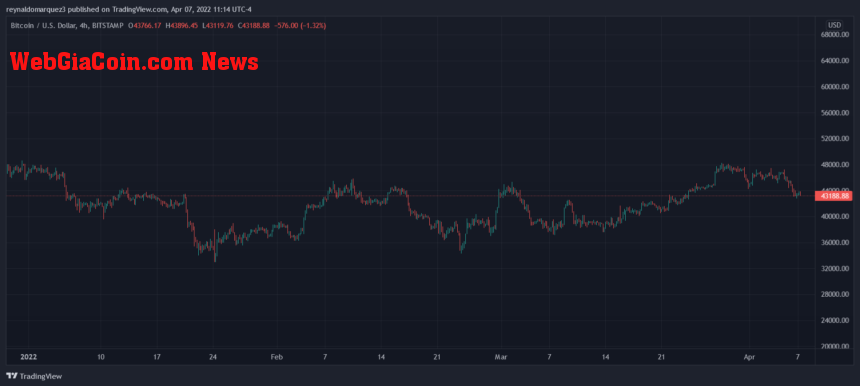 Bitcoin BTC BTCUSD