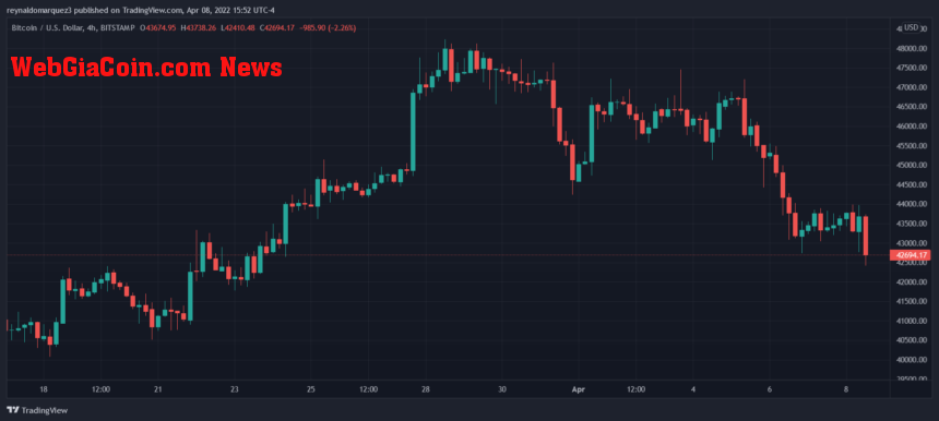 Bitcoin BTC BTCUSD