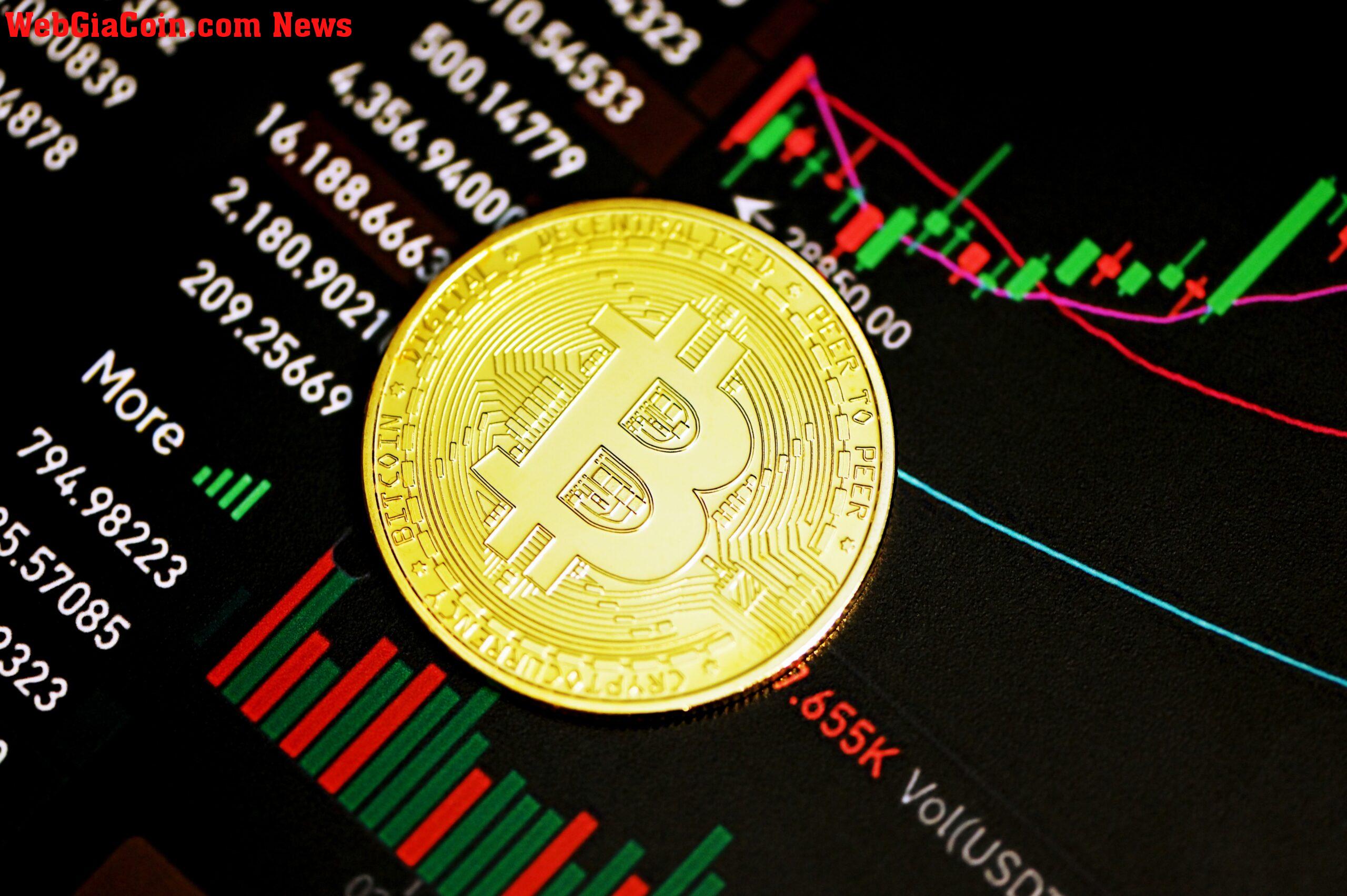 Dữ liệu Bitcoin: Số lượng thực thể đang hoạt động vẫn còn trong kênh thị trường giảm giá