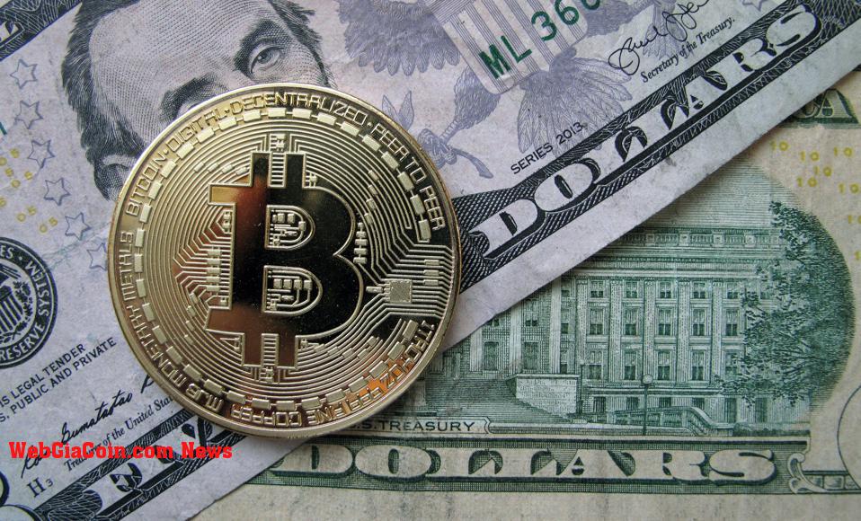 Bitcoin giảm trở lại mức 40.000 đô la khi Fed cân nhắc việc tăng lãi suất nhanh hơn