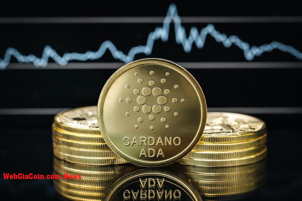 Cardano (ADA) là một trong những tiền điện tử hoạt động kém nhất về mặt lợi nhuận