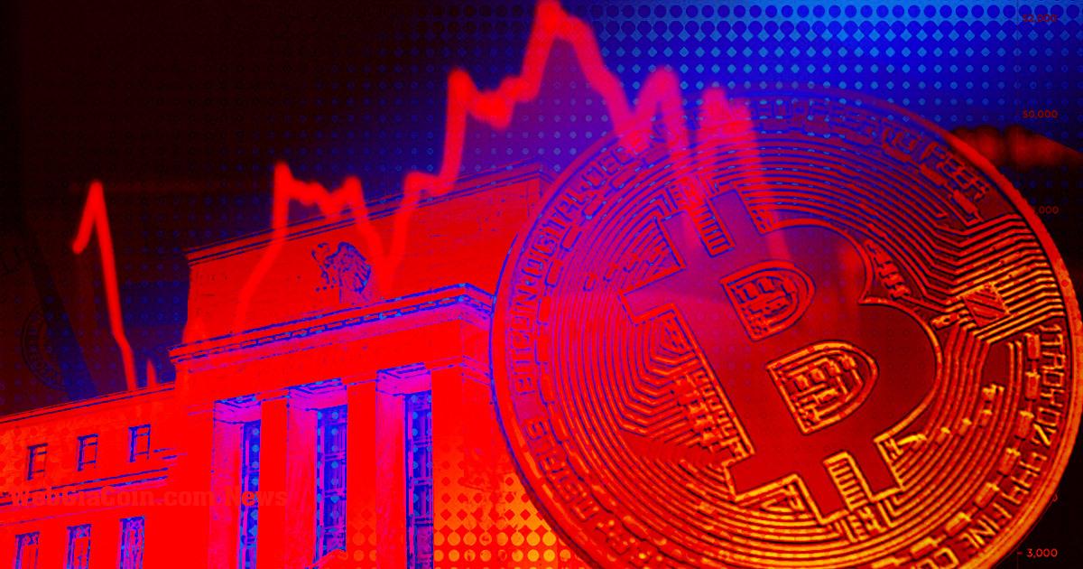 Bitcoin giảm xuống còn 40 nghìn đô la khi FED tìm cách tăng lãi suất nhanh hơn