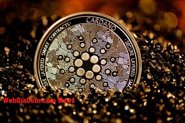 Cardano tăng kích thước Block lên 10%, giá của ADA có được lợi không?