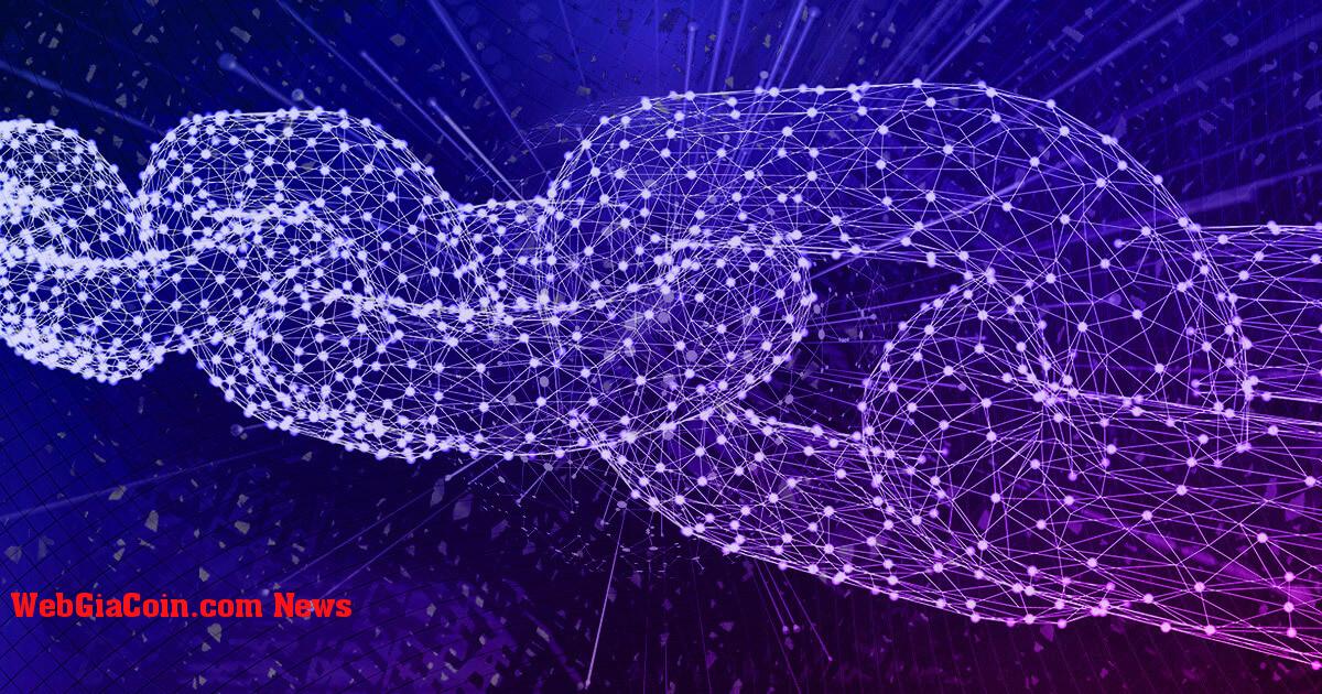 Tổng quan về mạng blockchain: Điều gì làm cho các mạng này trở nên tốt nhất?