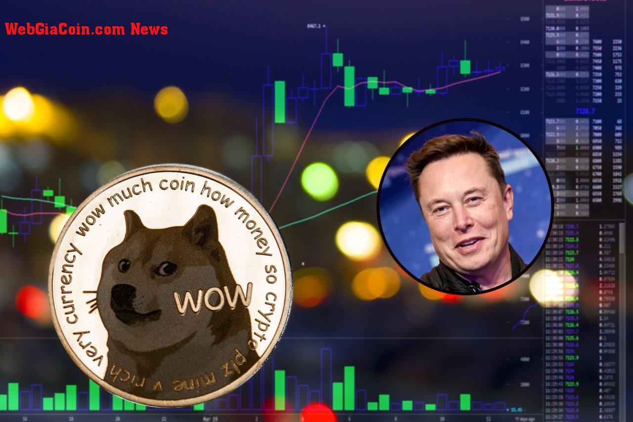 Dogecoin (DOGE) tăng 30% sau khi Elon Musk mua Twitter