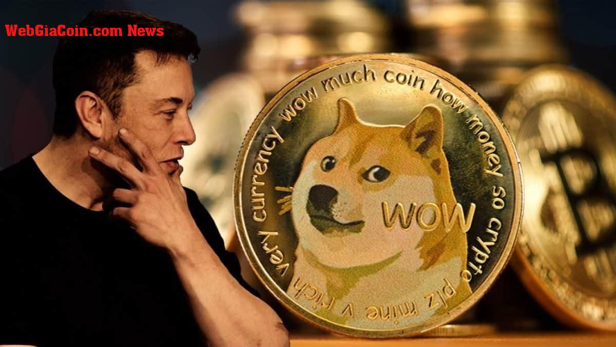 Dogecoin (DOGE) Khối lượng giao dịch sụt giảm - đây là lý do