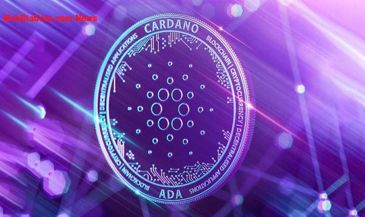 Khối lượng thực của Cardano (ADA) cho thấy xu hướng giảm còn lâu mới kết thúc