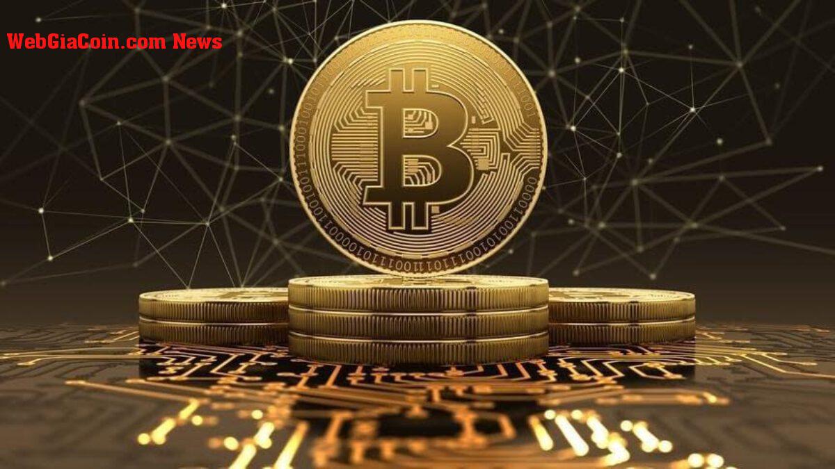 Bitcoin chuyển sang giảm giá trong ngắn hạn Thị trường chìm vào nỗi sợ hãi tột độ