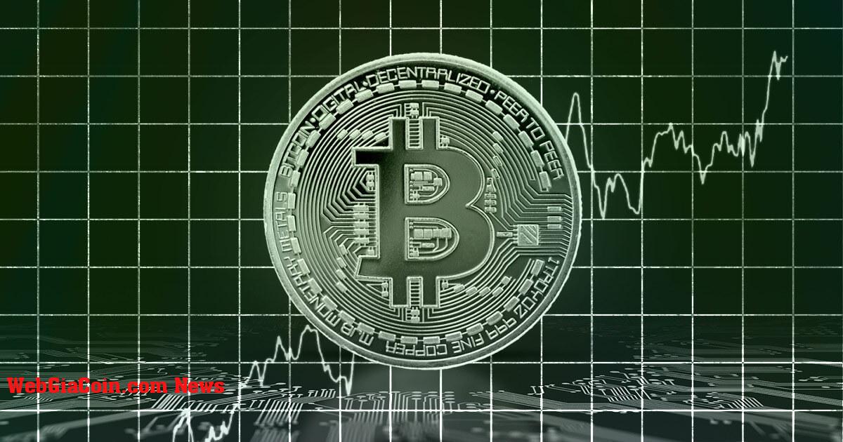 Sự biến động tỷ lệ băm của Bitcoin bất chấp sự bất ổn kinh tế dai dẳng