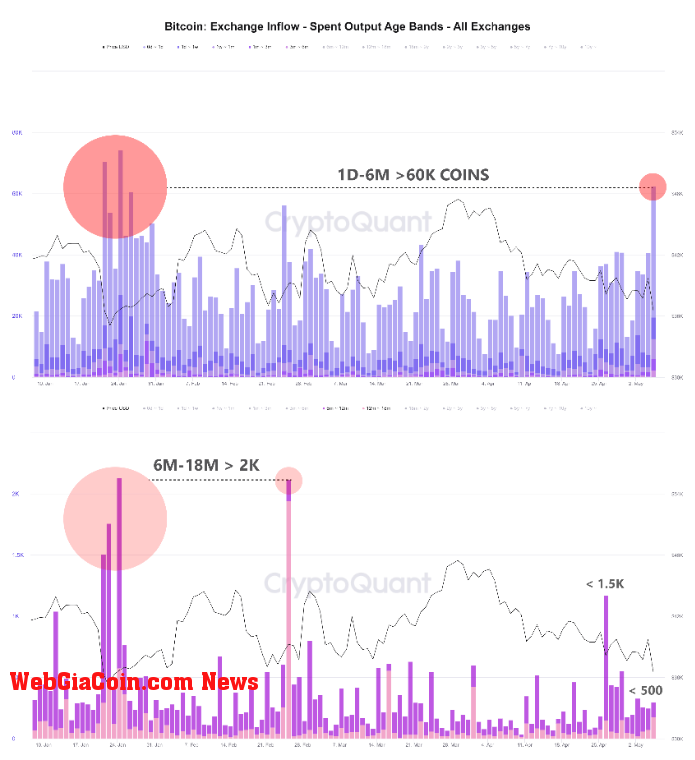 Bitcoin Short-Term Holder Inflows