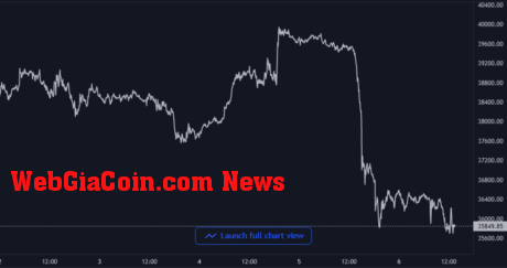 Bitcoin Price Chart