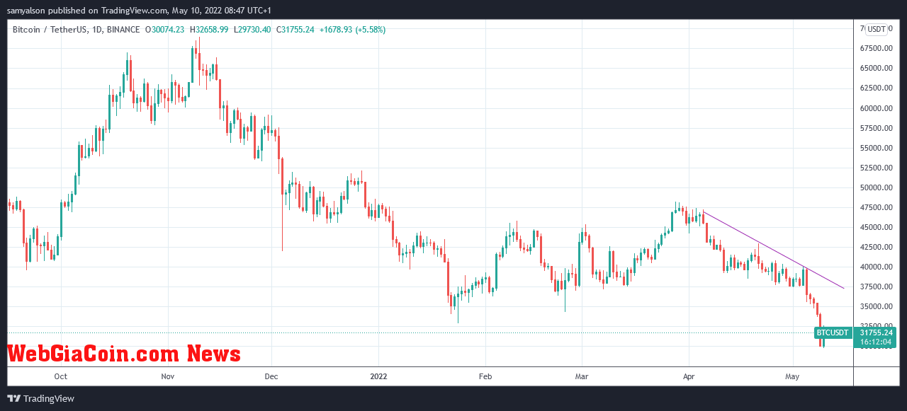 Bitcoin daily chart