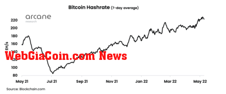 btc hashrate