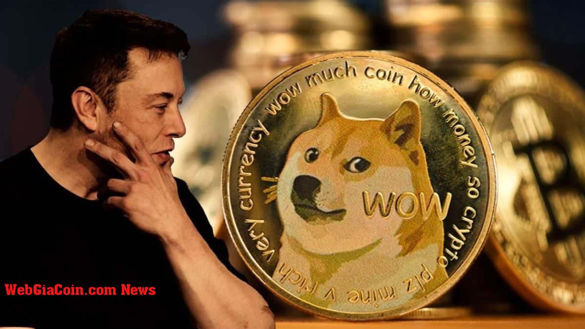 Dogecoin đã giảm 90% kể từ khi Dogefather ra mắt trên SNL