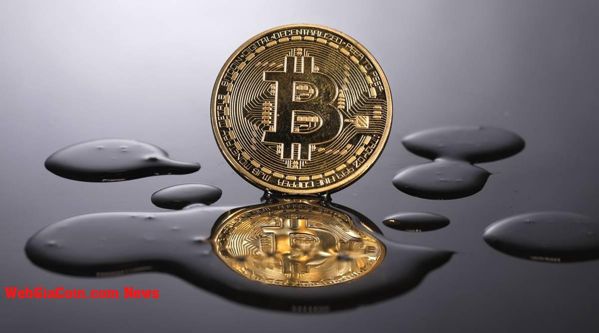 Thanh lệnh mua dài hạn tiếp tục gây chấn động Thị trường khi Bitcoin phải vật lộn giải quyết trên 30.000 đô la