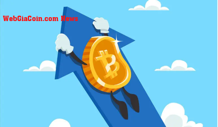 Bitcoin giành lại lãnh thổ 30 nghìn đô la sau cuộc đấu tranh trong những tuần gần đây - các nhà phân tích cân nhắc trong