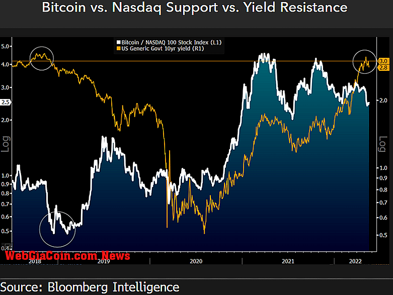 bitcoin vs nasdaq