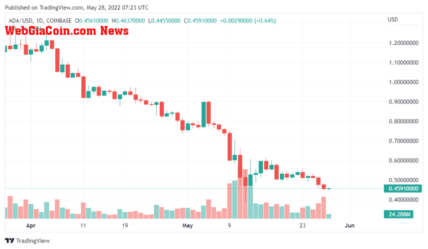 Cardano