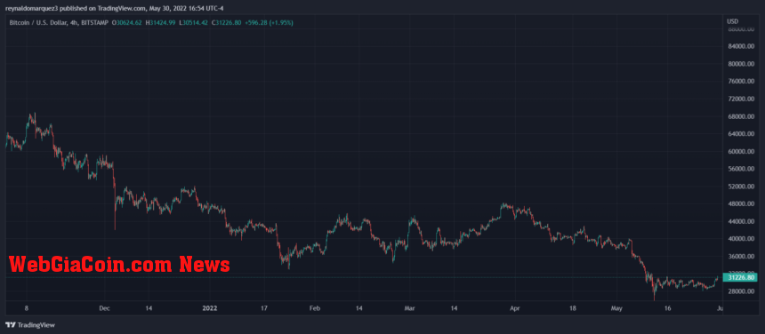 Bitcoin BTC BTCUSD