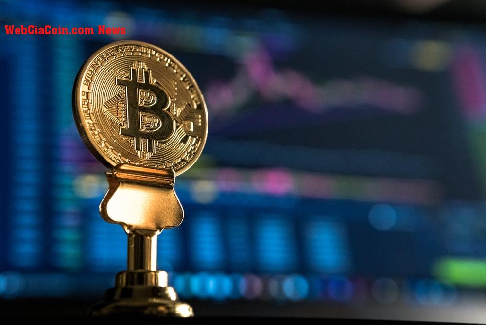 Bitcoin có thể trở thành tài sản tốt nhất trên trái đất không? chuyên gia đặt cược vào nó