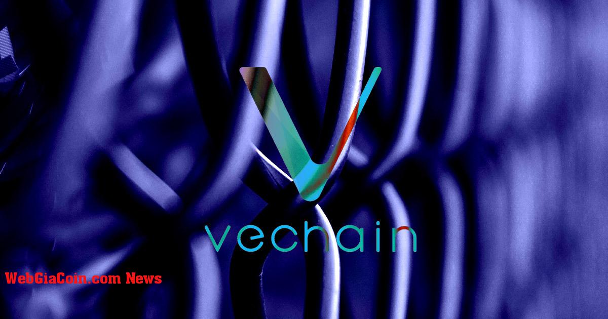 VeChain, UFC tham gia hợp tác tiếp thị nhiều năm