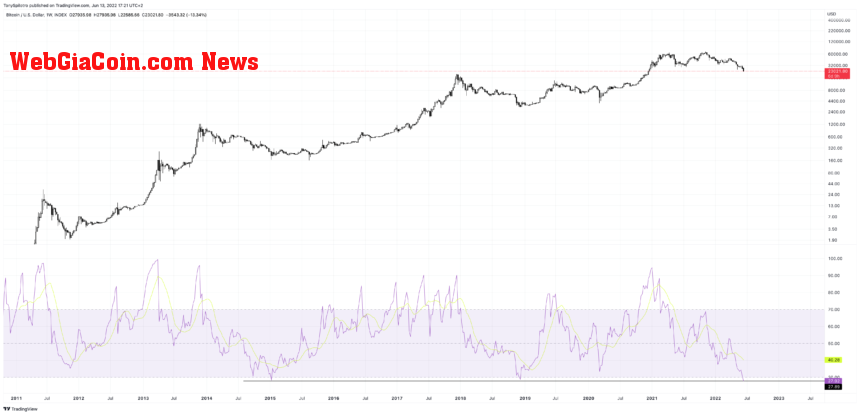 BTCUSD_2022-06-13_11-21-47