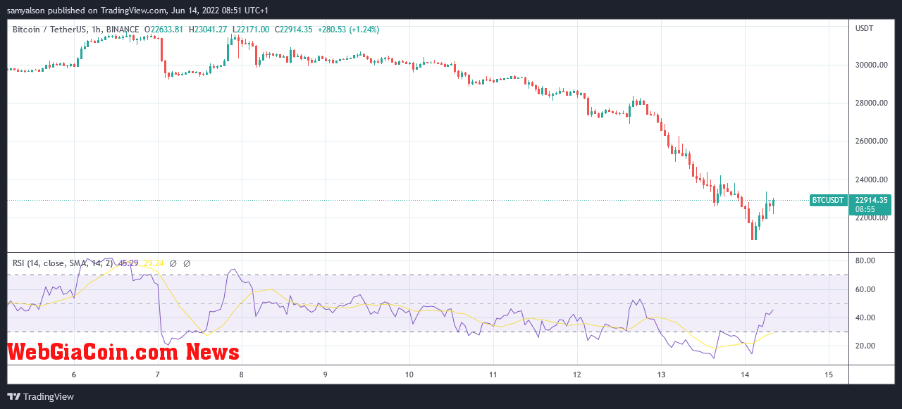 Bitcoin hourly chart